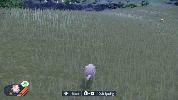 Synchronised view in Pokemon Scarlet and Violet Indigo Disk DLC
